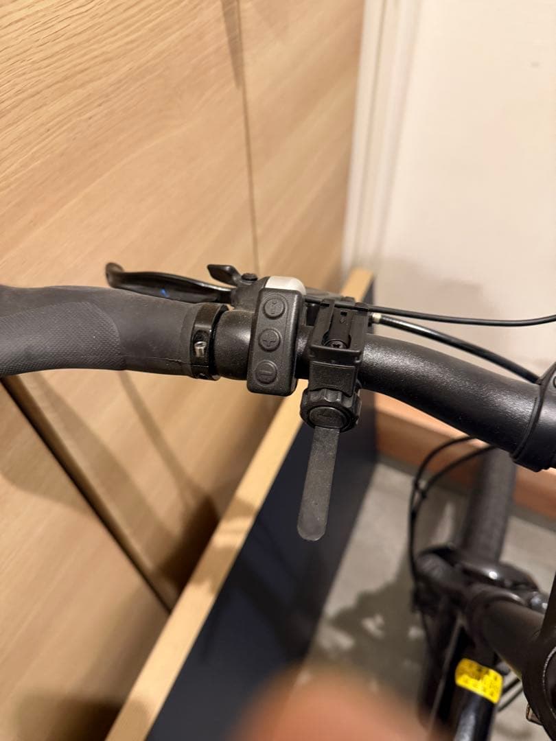 BESV PSA1 (東京都江戸川区引取限定)