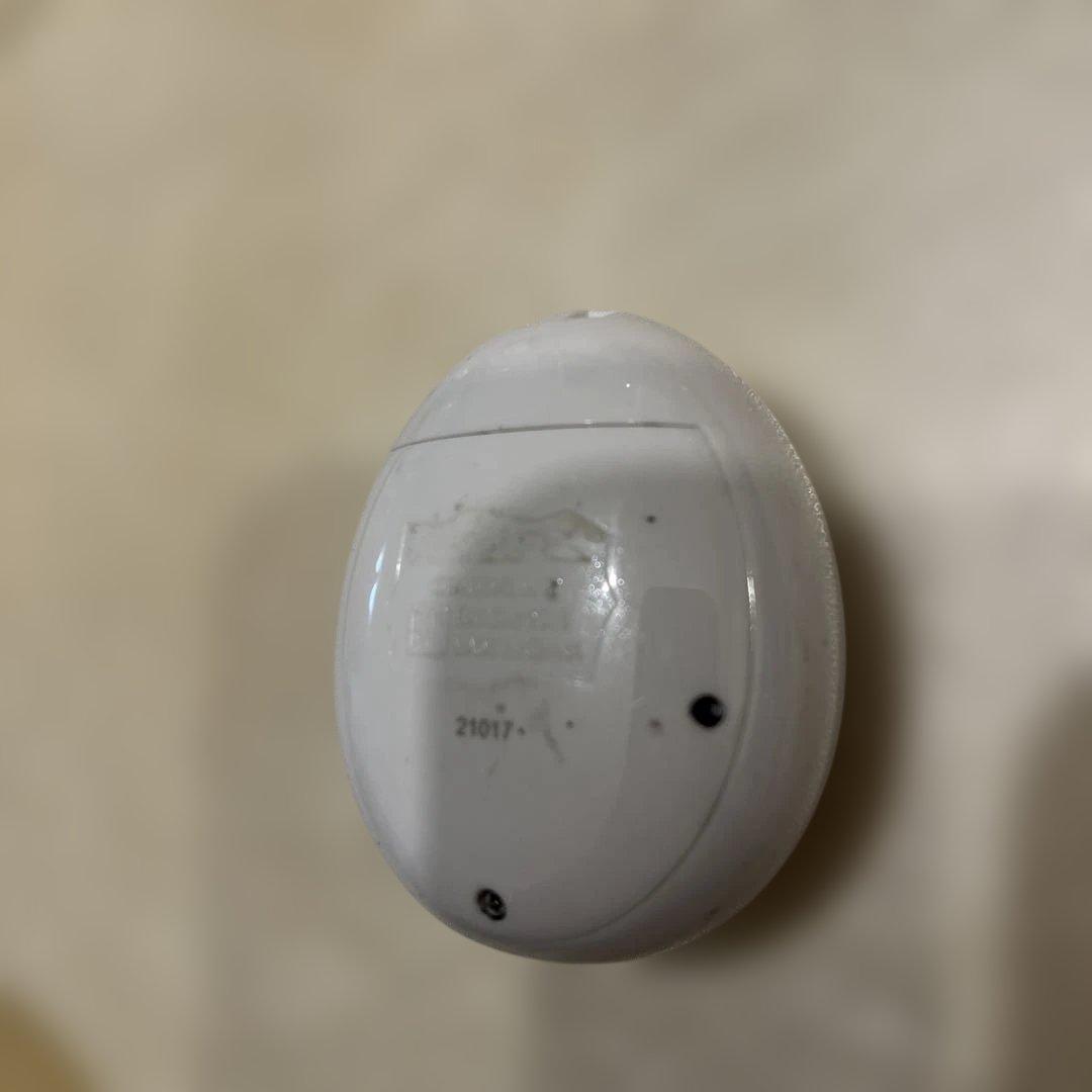 たまごっちみくす　20周年 アニバーサリーギフト