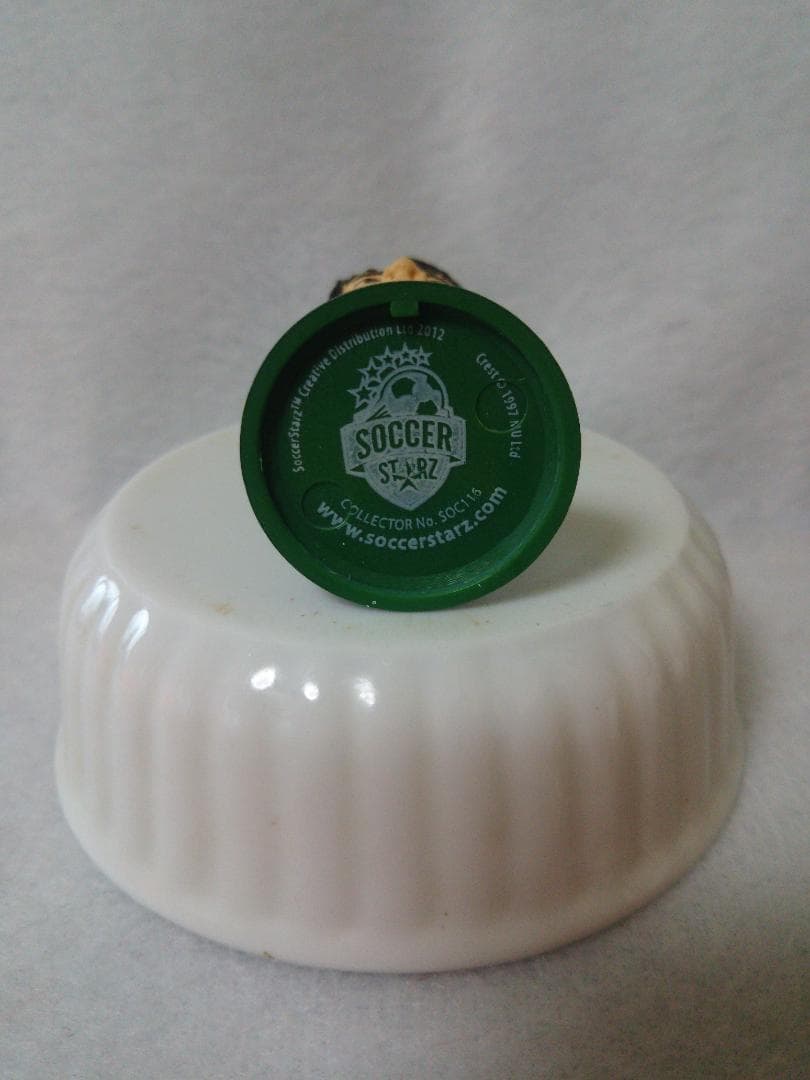 香川真司 日本代表