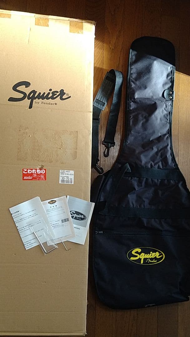 SQUIER　テレキャスター SCANDAL HARUNA スカル柄