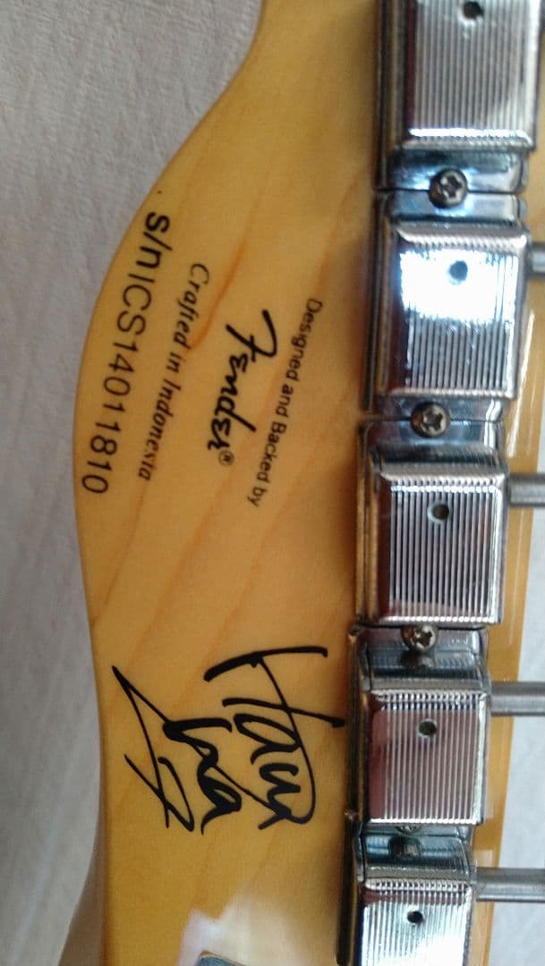 SQUIER　テレキャスター SCANDAL HARUNA スカル柄