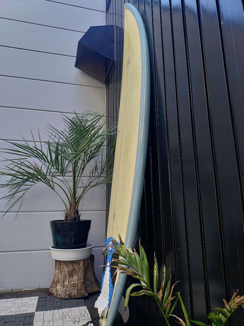 愛知 TM3 レディース 女性 サーフィン ショート ファン ボード FCS 波