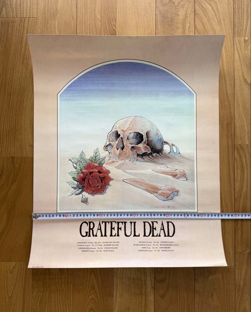 コレクション Grateful Dead 1981 European Tour Poster