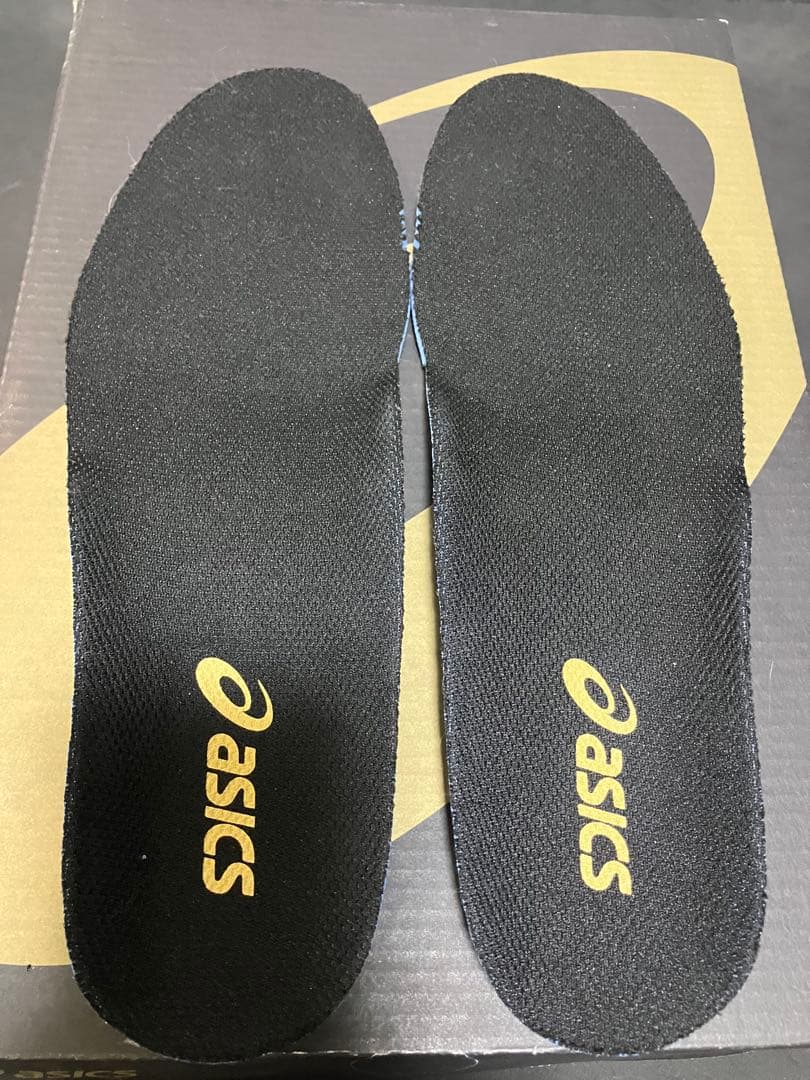 【美品】アシックス GOLDSTAGE オーダーポイントスパイク 26.0cm