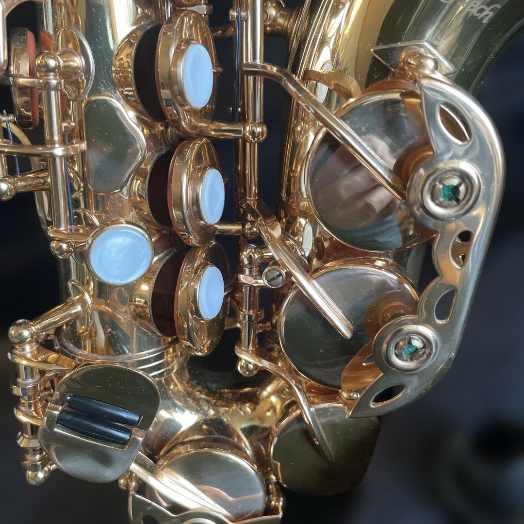 playtech サウンドハウスPTSS－200Cカーブドソプラノ