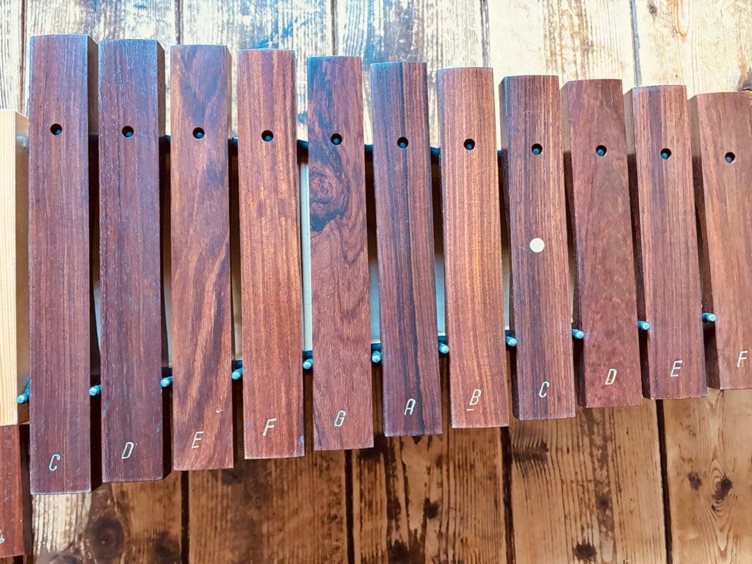 STUDIO49 SX2000 木製ソプラノシロフォンdiatonic