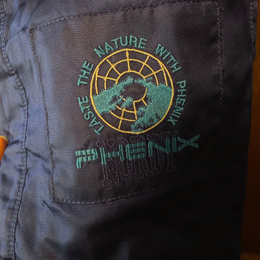 PHENIX メンズLサイズ　スキーウェア　パンツセット