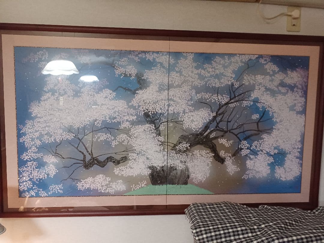 中島千波　醍醐桜　屏風