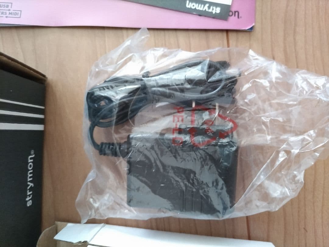 Strymon DIG v2 デュアルデジタルディレイ