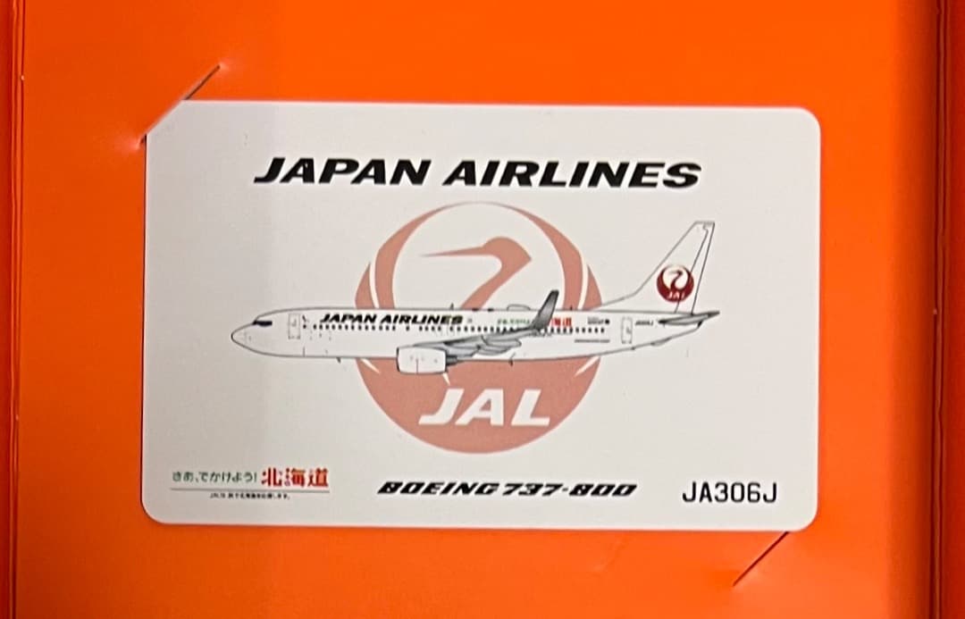 JAL B737-800 JA306J 北海道