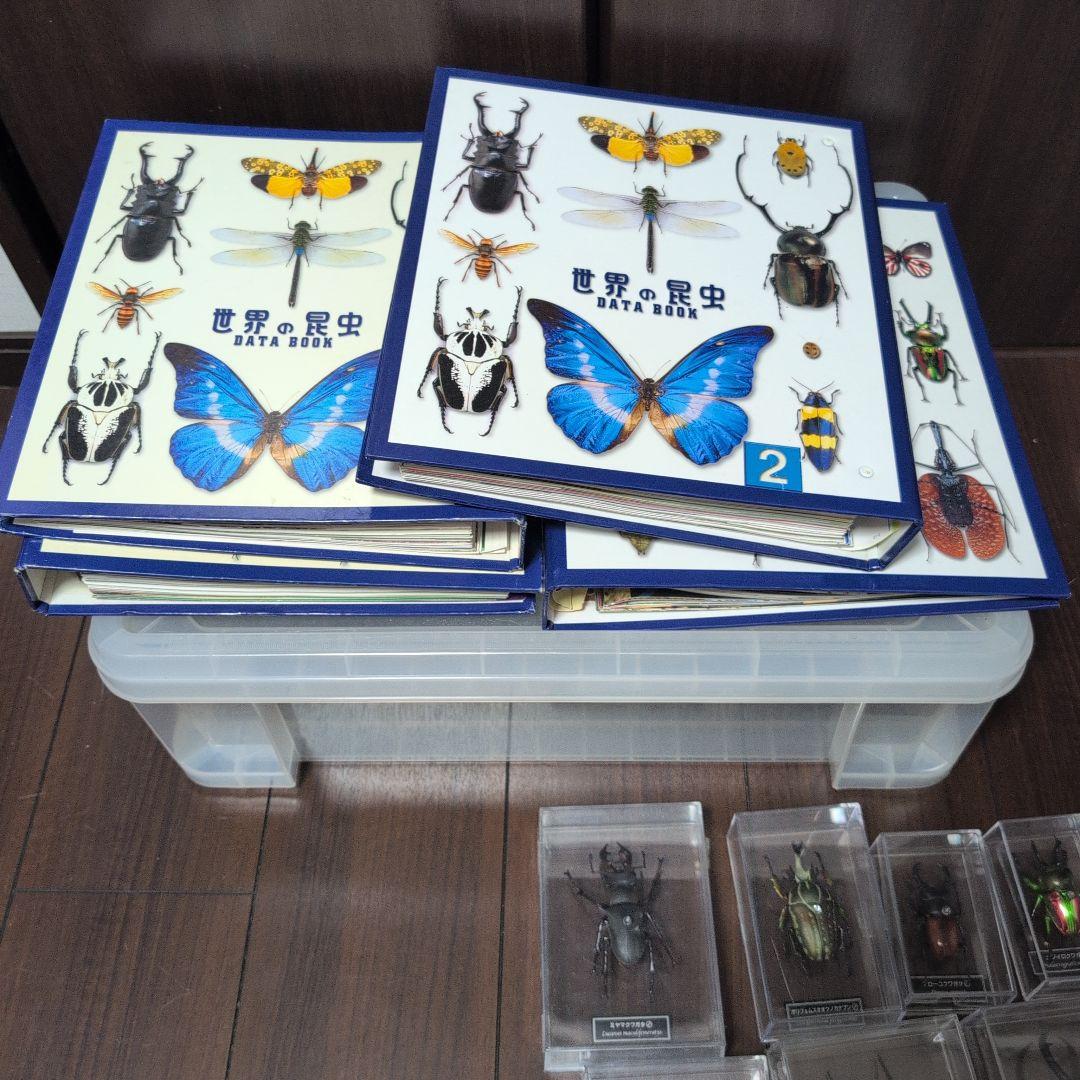 53体！！ディアゴスティーニ　世界の昆虫　データブック4冊
