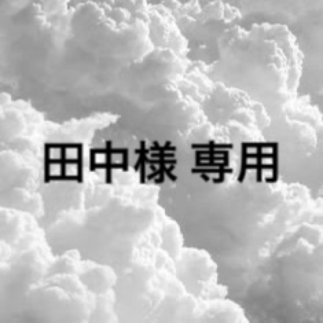 【 田中 】ミヒャエル・カイザー 缶バッジA 30点