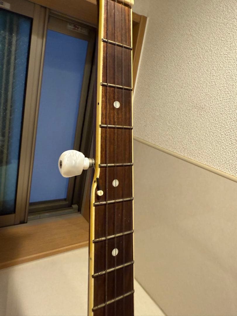 Aria アリア 5弦 バンジョー ハードケース付