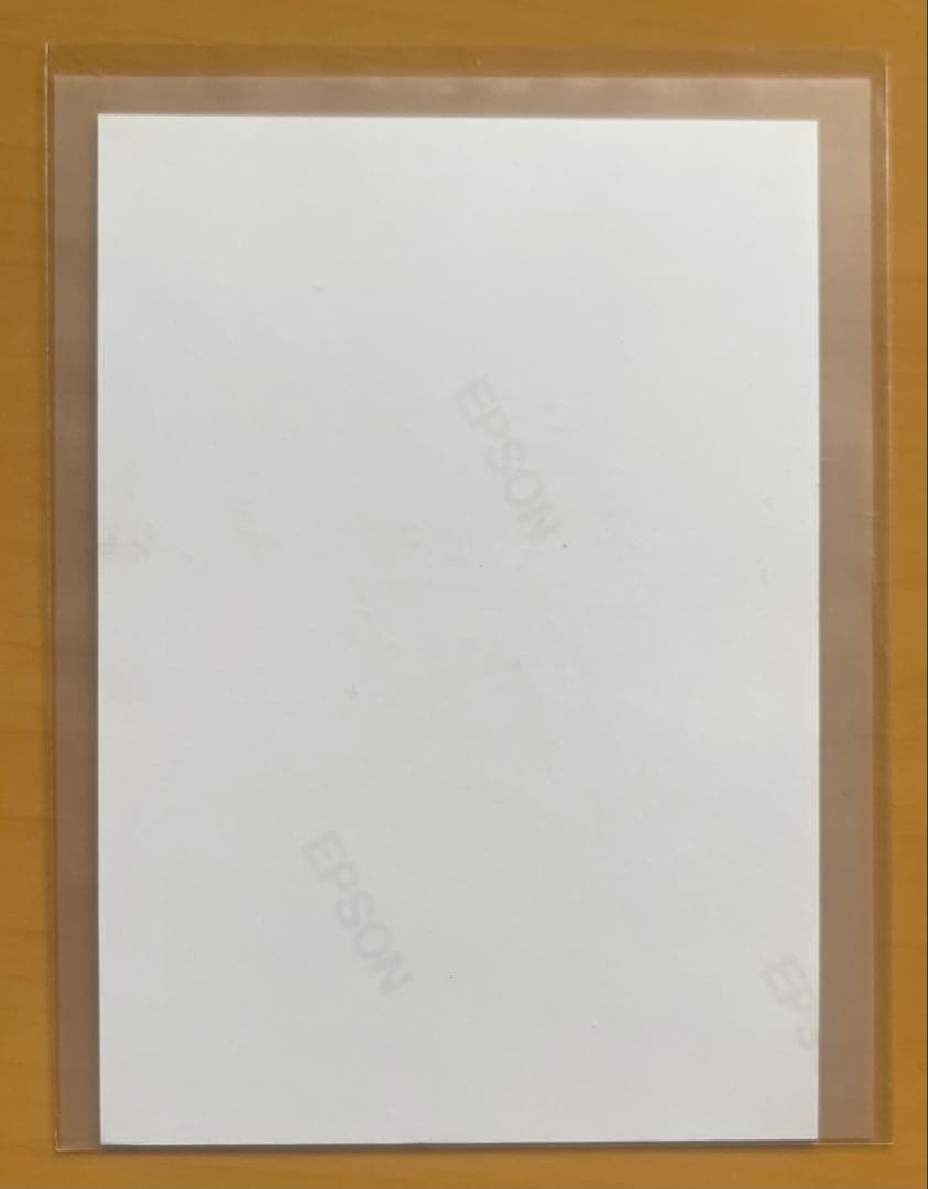 【直筆サイン】安倍吉俊『灰羽連盟』写真プリント｜2002年前後入手