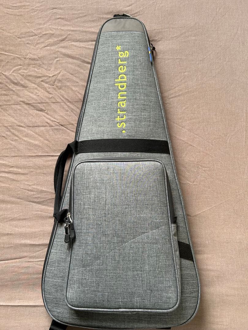 ギター Strandberg Borden RAS6