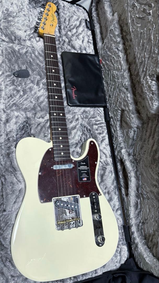 fender american professional ll テレキャスター