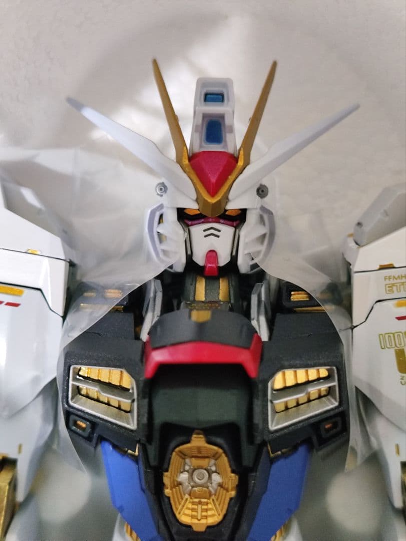 メタルビルド ストライクフリーダム デスティニー festival 2024