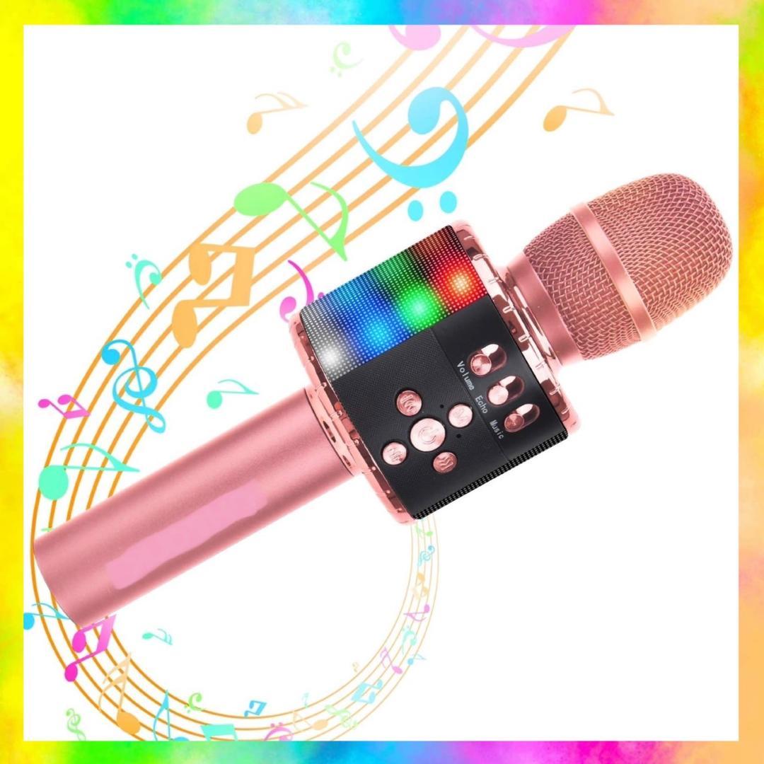 ❤自宅でカラオケ練習OK❣プロが練習用にも使用する本格派♪❤カラオケマイク