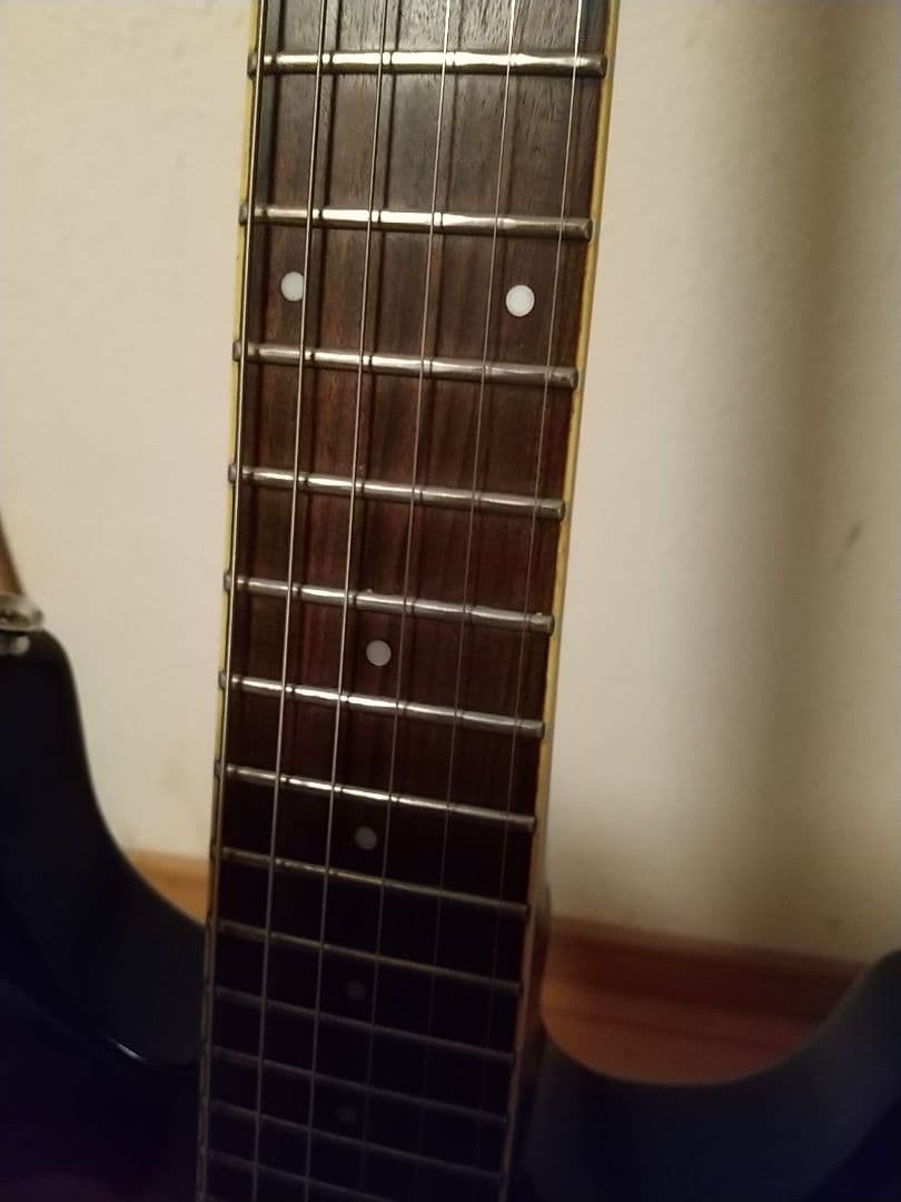 飛ぶ猫さま専用/ APG-55S 改造品/サステナーなし120サイズ