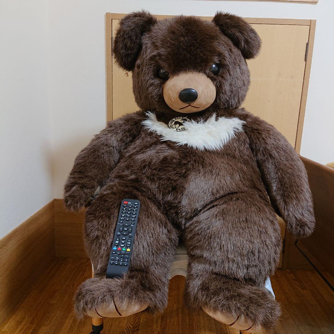 サンアンドスター ツキノワグマ