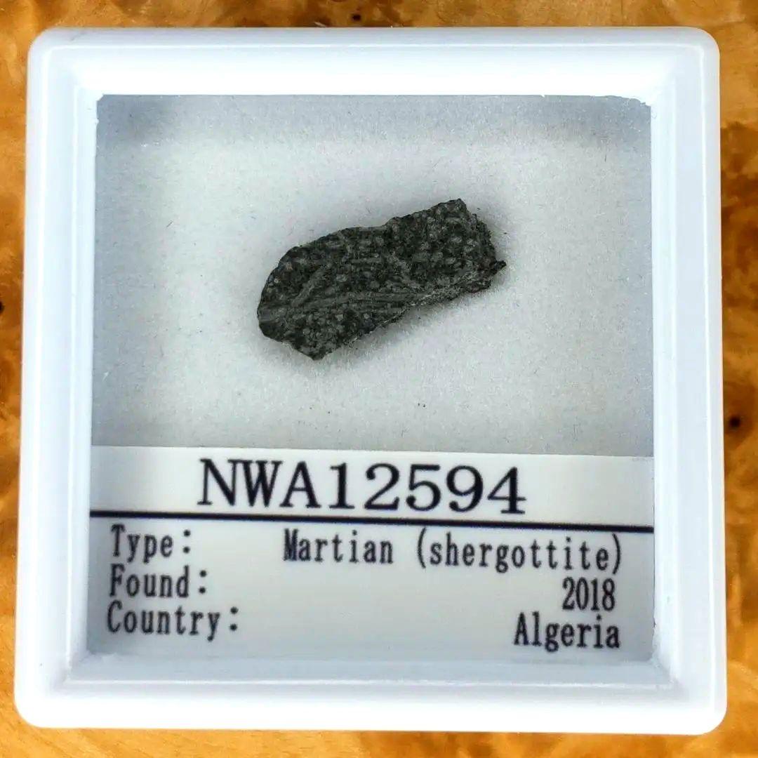 火星の石！シャーッゴッタイト　 NWA 12594　隕石標本　大