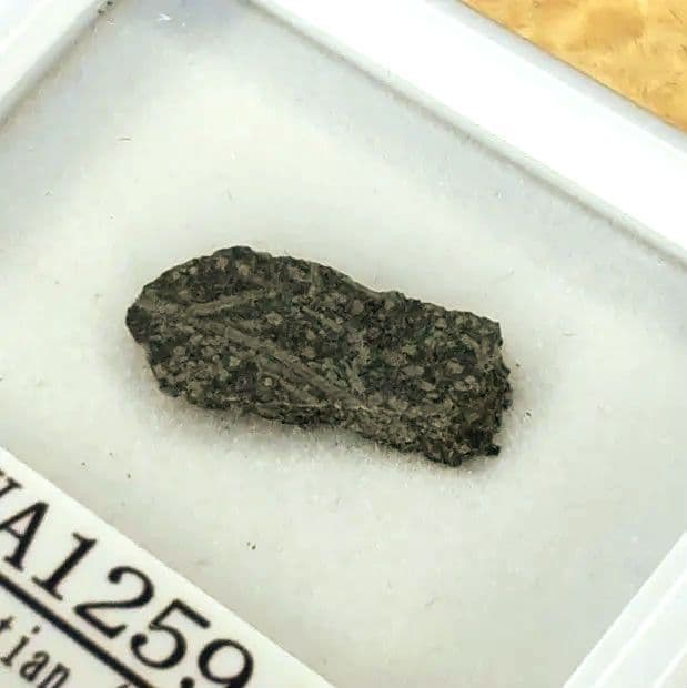 火星の石！シャーッゴッタイト　 NWA 12594　隕石標本　大