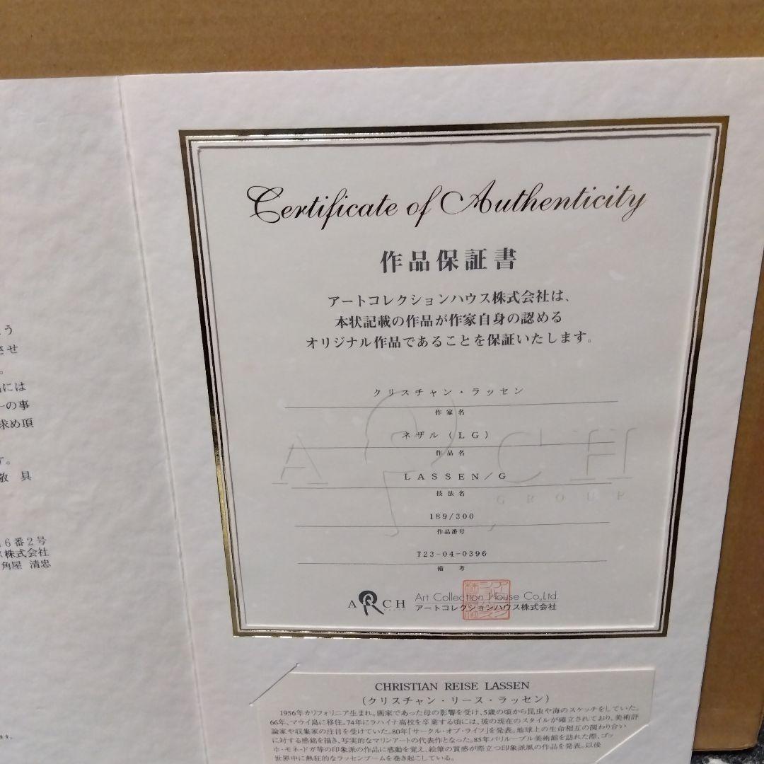 クリスチャンラッセン　ネザル　（LG）189/300