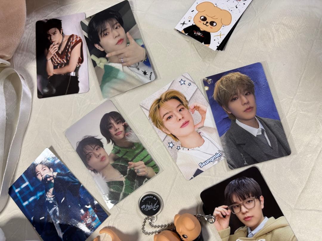 スンミン ペンライトカバー　トレカ　ぬいぐるみ　アクスタまとめて