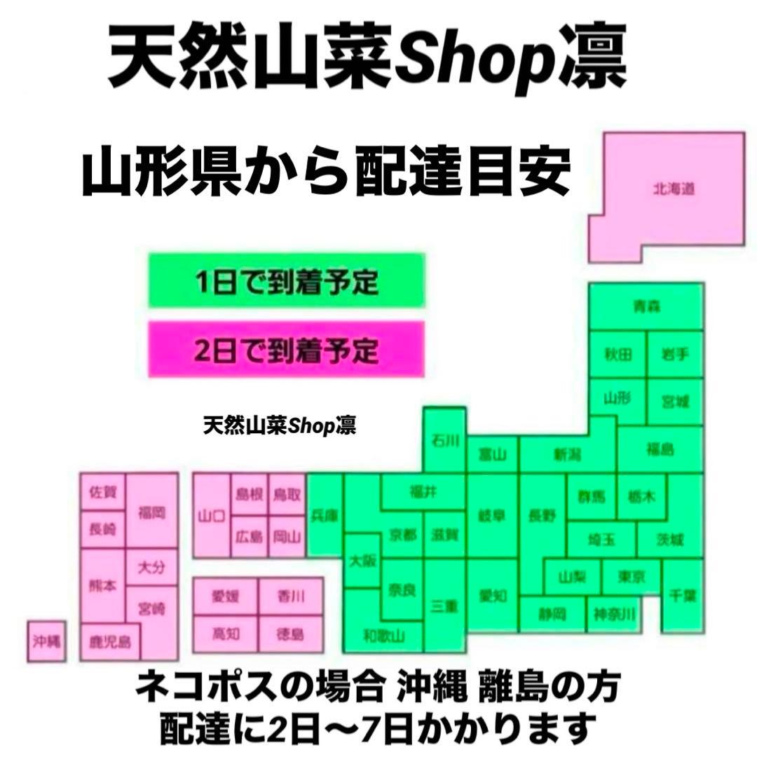 天然きのこ 松茸 国産 マツタケ まつたけ 山形県産 森の凛さん採取 その192