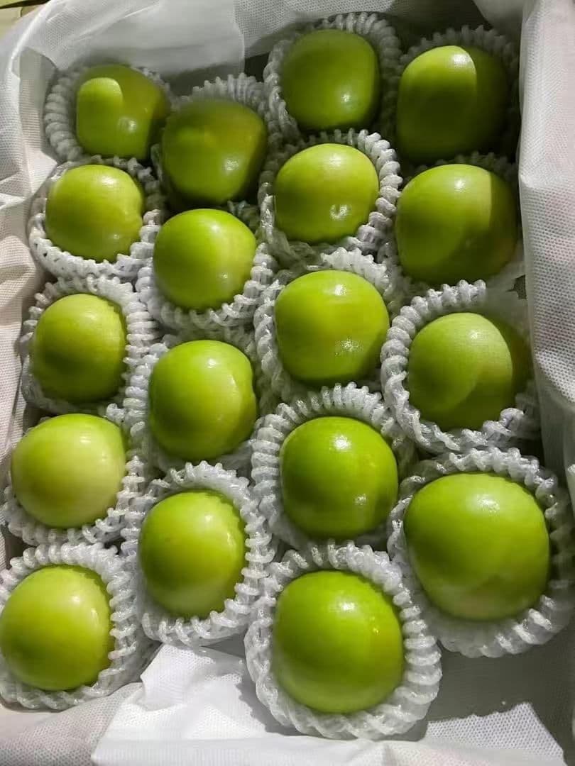 412.新鮮台湾ナツメ　台湾青棗 2.5kg前後(１８~24玉)玉数お任せ