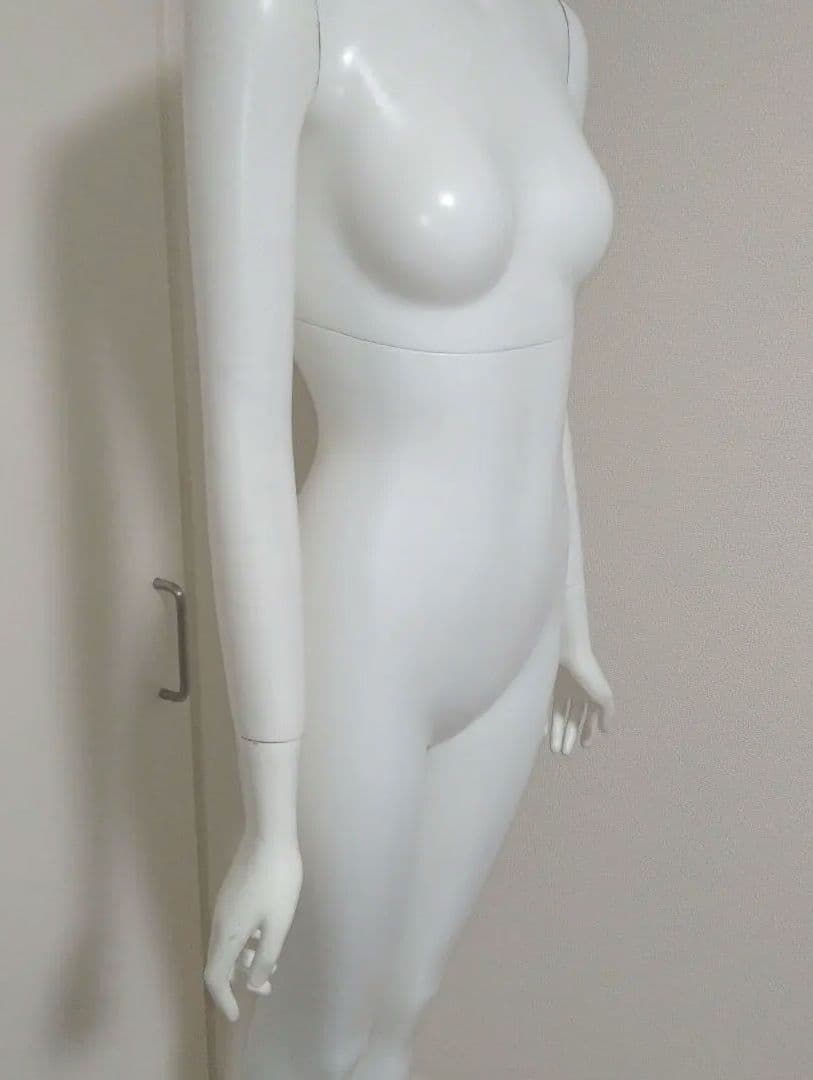 全身 マネキン レディース アパレル