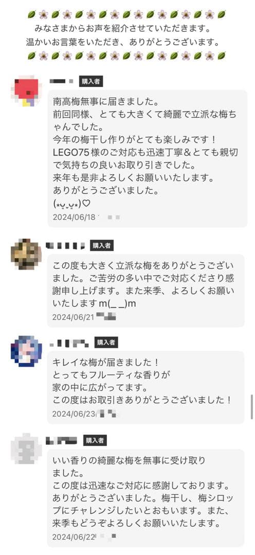 和歌山県みなべ町 南高梅 24時間以内収穫分4Lサイズ5キロ