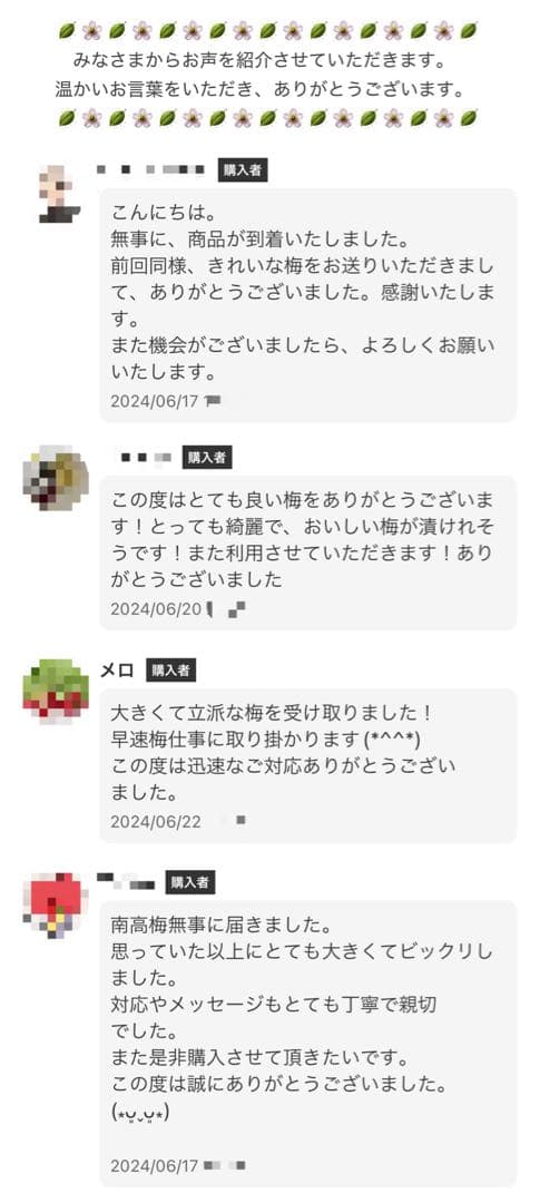 和歌山県みなべ町 南高梅 24時間以内収穫分4Lサイズ5キロ