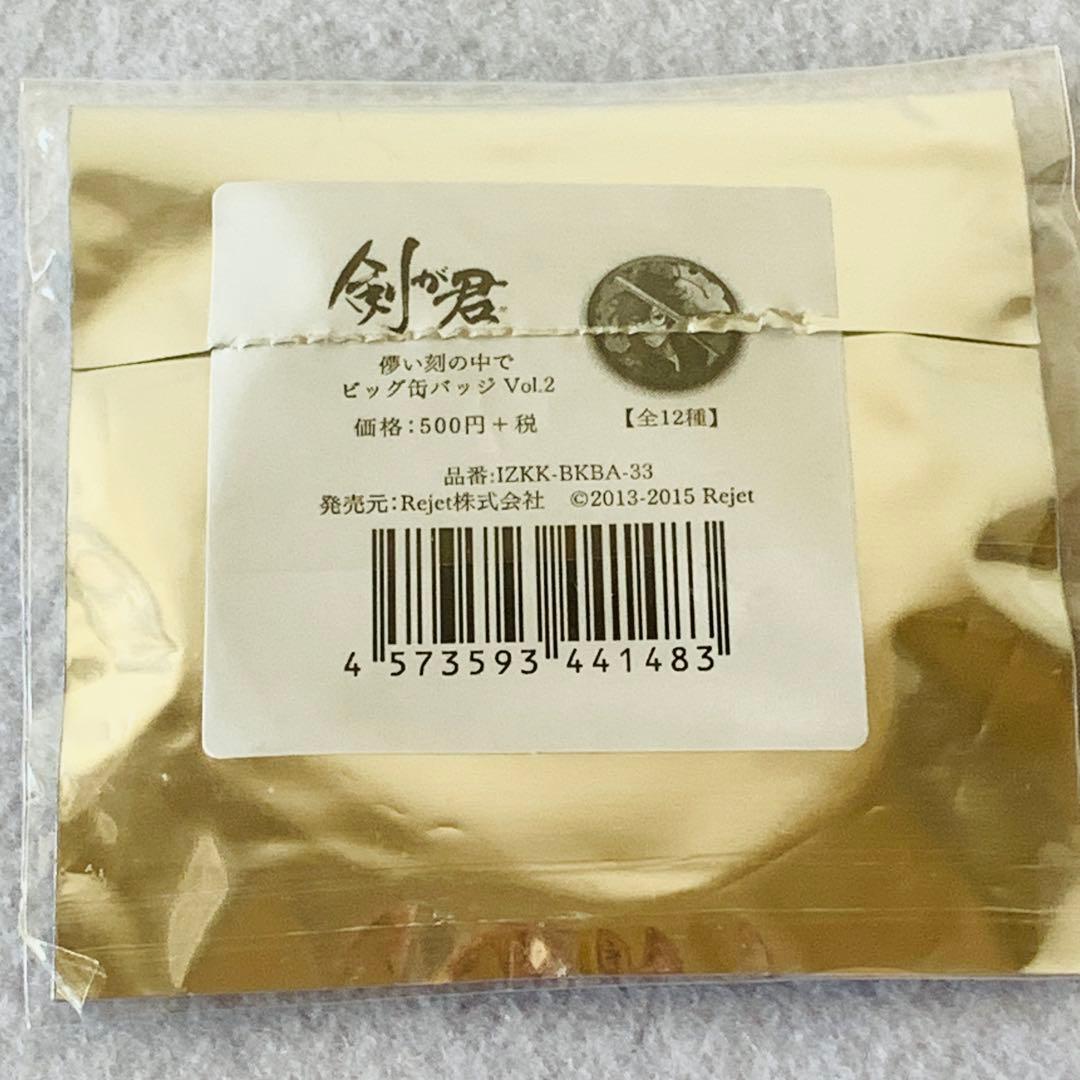 剣が君　鷺原 左京　ビッグ缶バッジ　５個セット