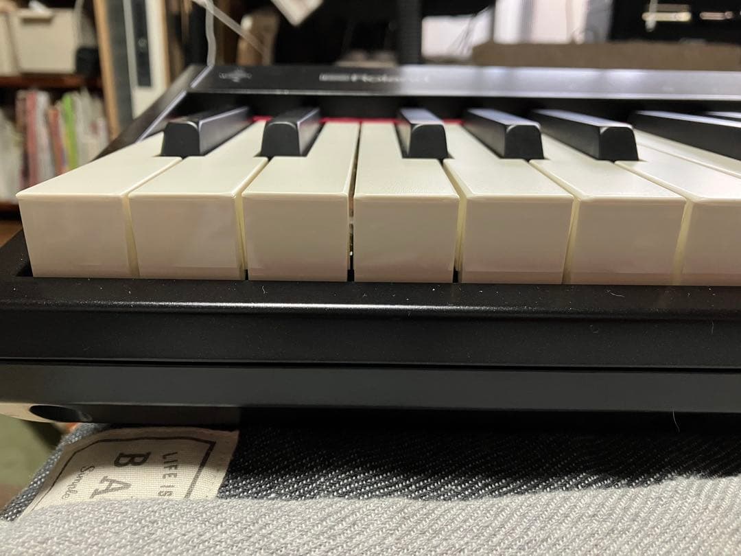 roland GO-61P 24年製