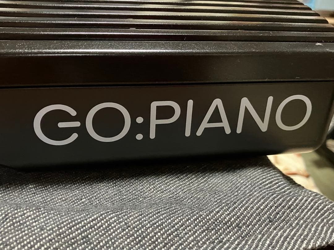 roland GO-61P 24年製