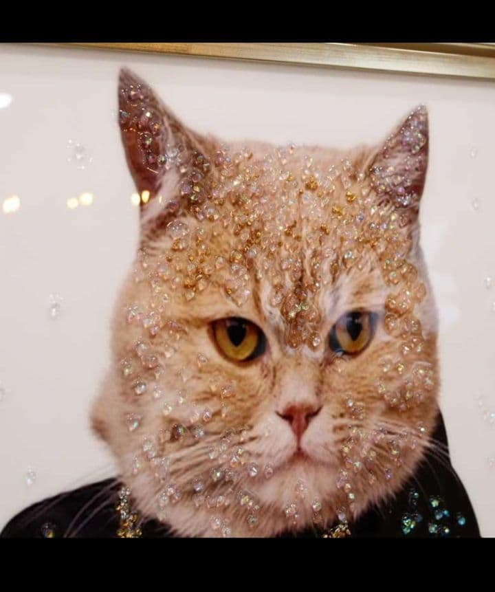 アートフレーム ネコ/イクラです？？ 絵画 クリスタルピクチャー