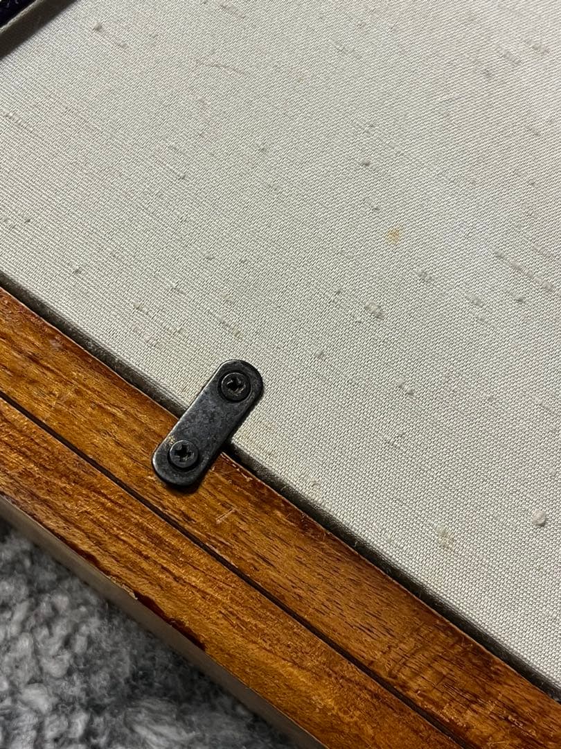 松林桂月　文化勲章受賞作家 直筆画 肉筆画 風景画　富士　共箱があり