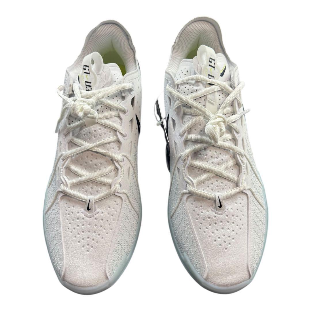 A新品 29.0cm ナイキ エア ズーム GT カット 3 EP DV2918