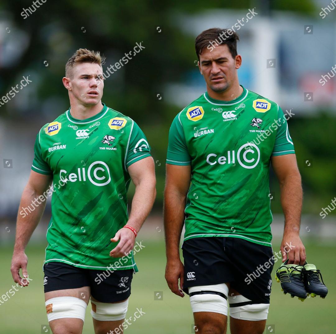 ラグビー ジャージ ユニ 選手仕様 南アフリカ シャークス XL 新品 レア