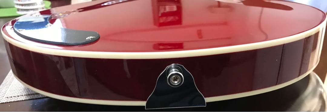 EASTWOOD Resonator Guitar サンバースト