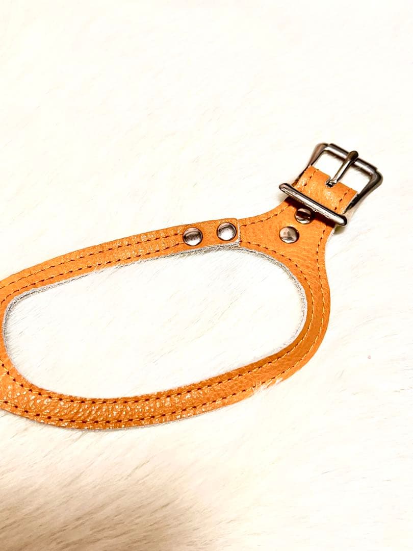 BUDDY BELT 3.5 オレンジラインストーン付き