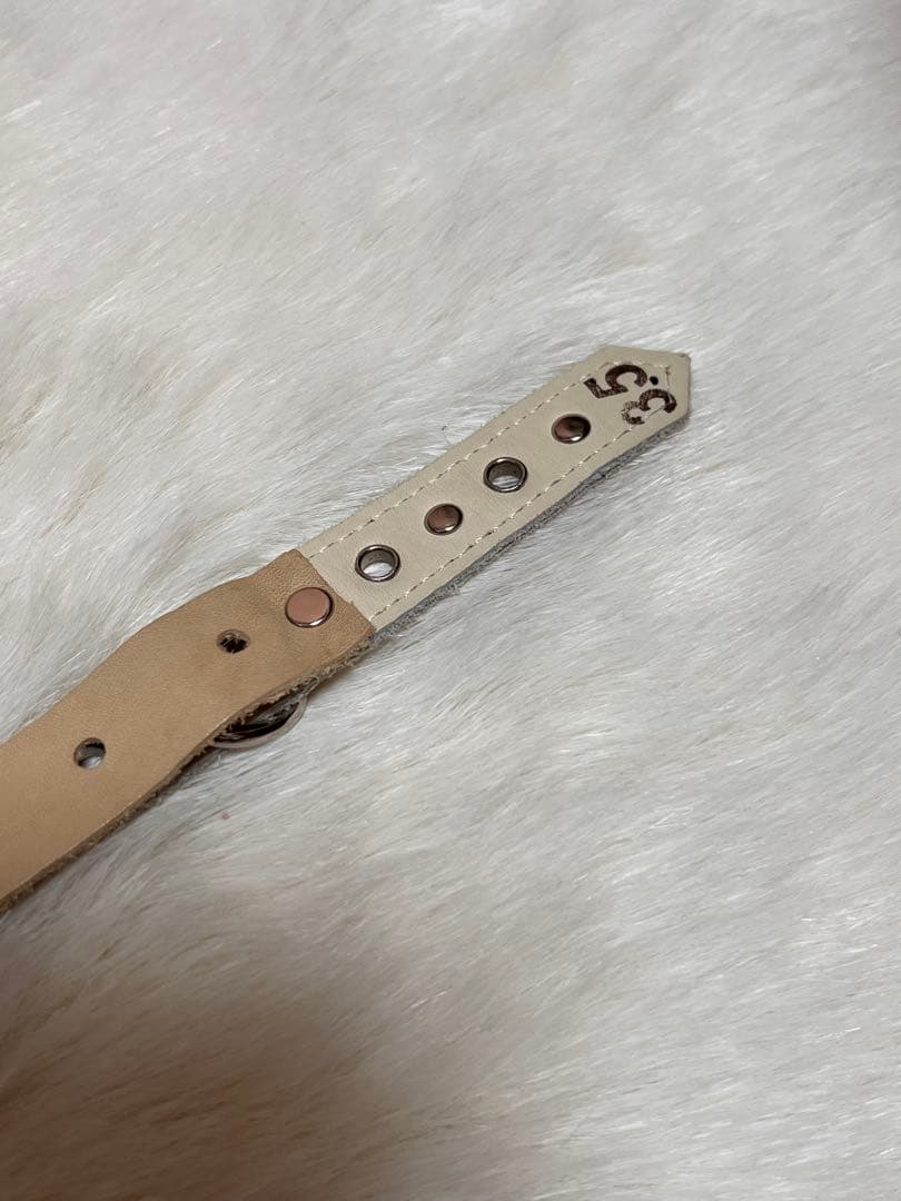 BUDDY BELT 3.5 オレンジラインストーン付き