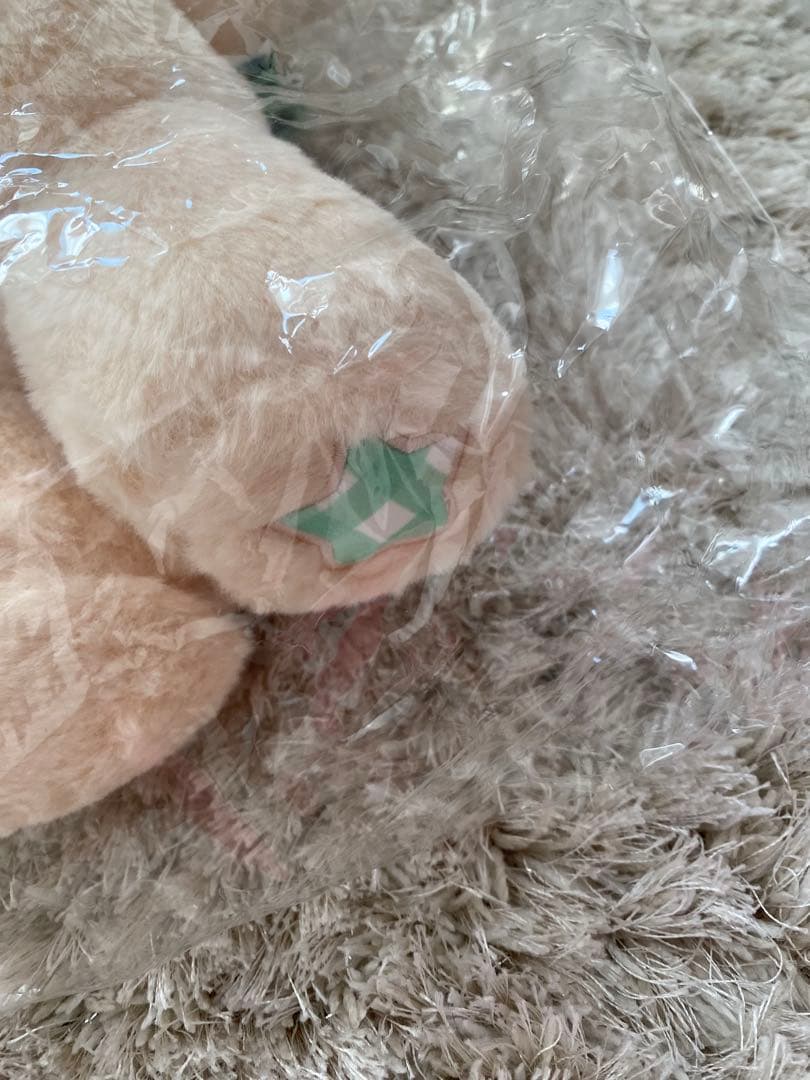 NCT WISH ジェヒ　デントリバー バッグ　ソウルコン　カバン　キャラクター