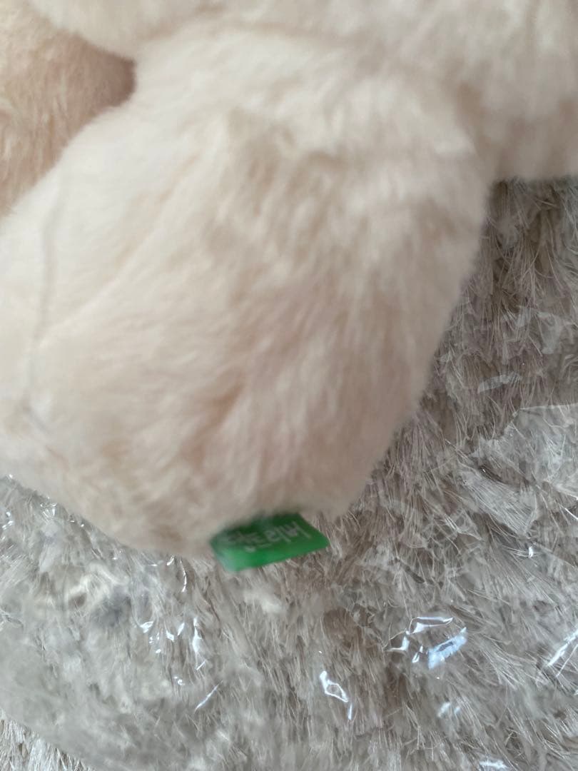 NCT WISH ジェヒ　デントリバー バッグ　ソウルコン　カバン　キャラクター