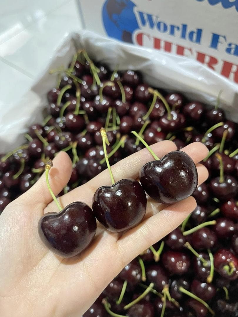 チリ産 空輸　ダークチェリー 約2.5kg 　大粒3Jサイズ