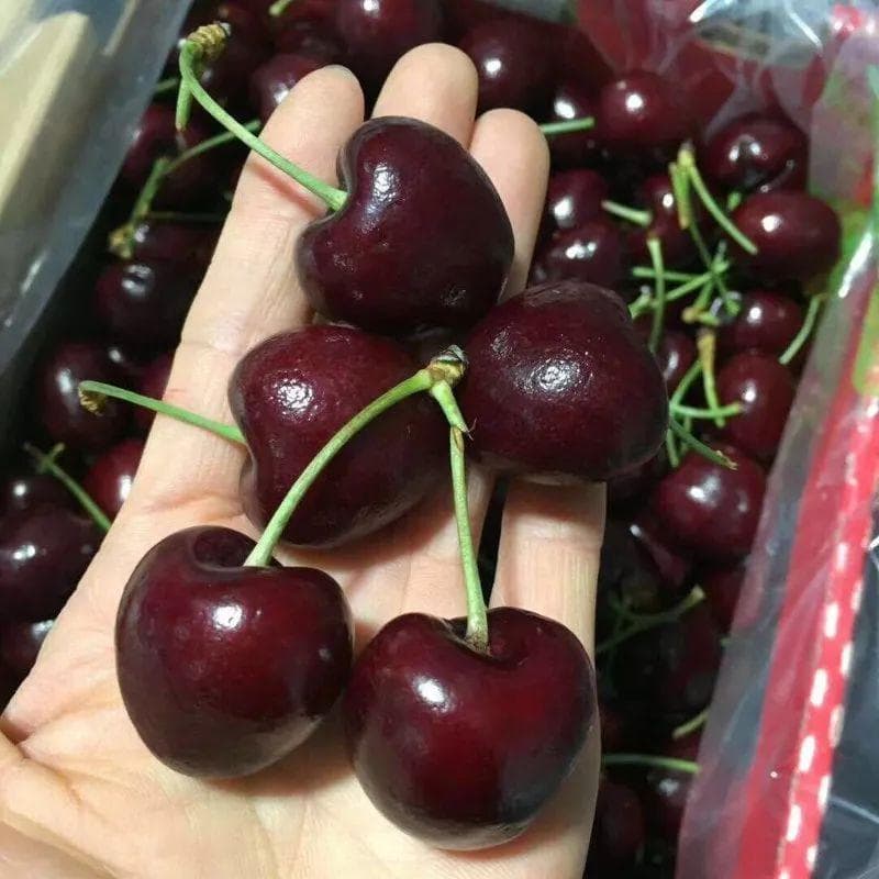 チリ産 空輸　ダークチェリー 約2.5kg 　大粒3Jサイズ