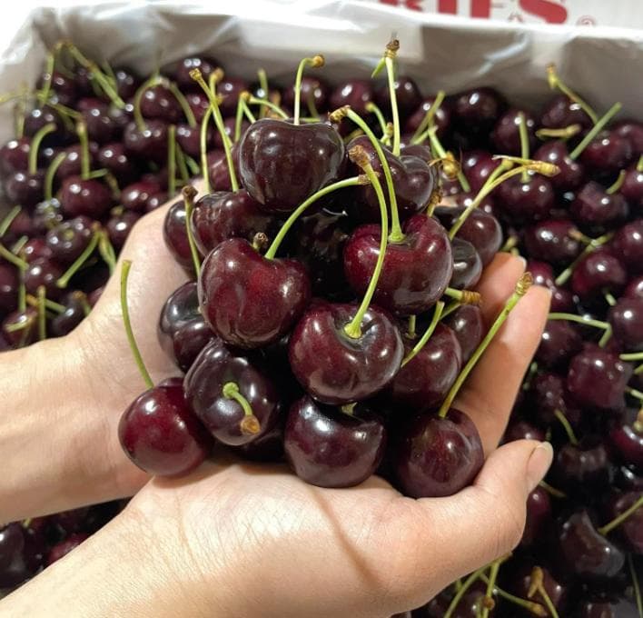 チリ産 空輸　ダークチェリー 約2.5kg 　大粒3Jサイズ