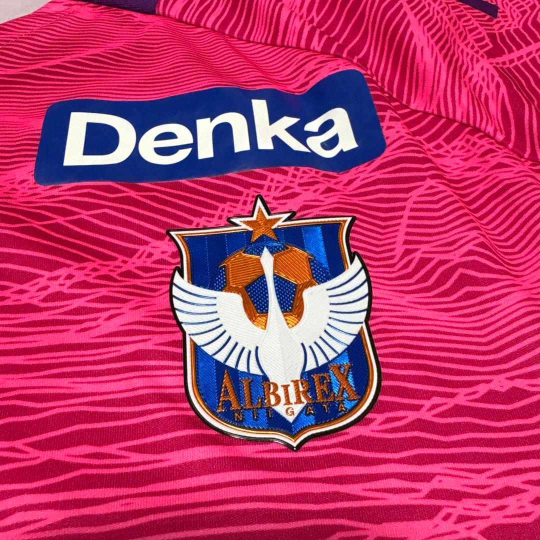 adidas(アディダス)Jリーグ　アルビレックス新潟2021 GKユニ　3rd