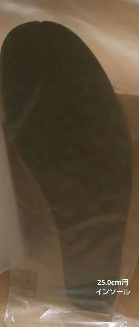 新品未使用ノルディカ Speedmachine BOA 25.5 スキーブーツ